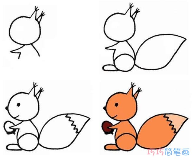 简单可爱小松鼠怎么画 小松鼠的画法步骤图