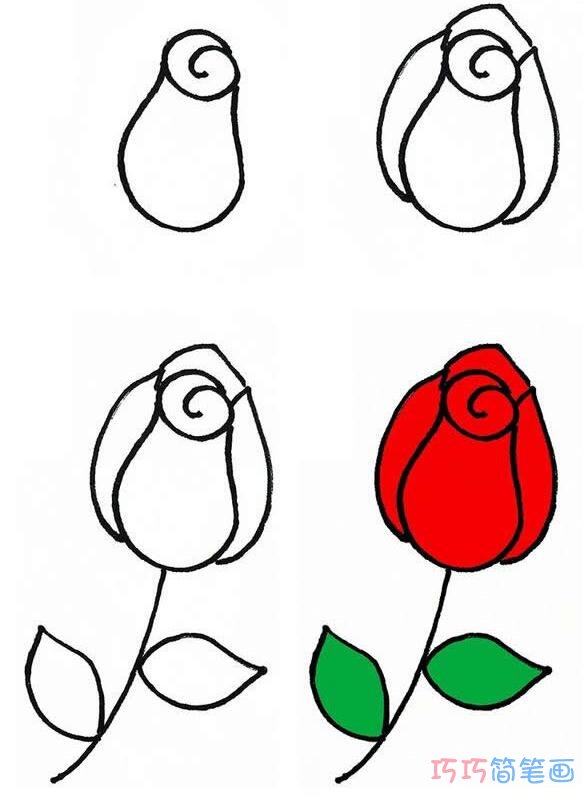 简单玫瑰花的画法步骤 涂上玫瑰简笔画图片