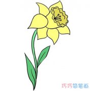 手绘水仙花的画法步骤图涂颜色简单漂亮