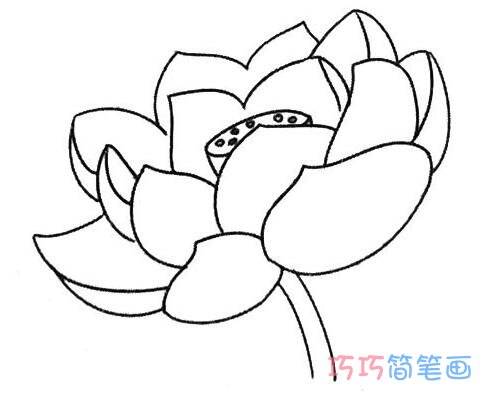 一步一步绘画莲花简笔画教程简单漂亮