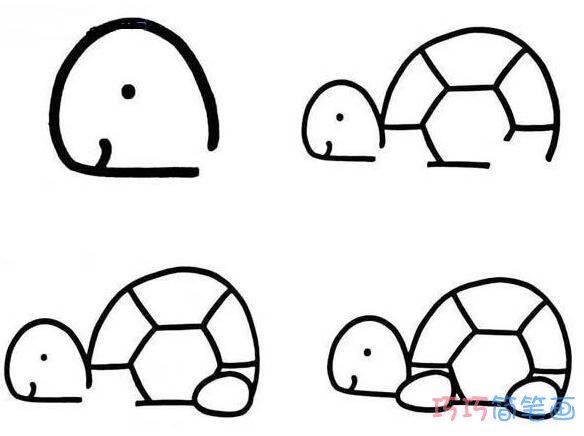 儿童简单乌龟的画法步骤图好看