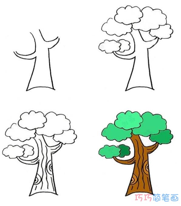 卡通大树的画法步骤图带颜色简单漂亮