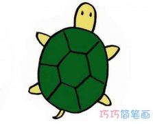 怎么画小乌龟简单可爱 涂色小乌龟的画法步骤