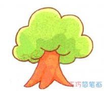 一棵大树的画法步骤图带颜色简笔画图片
