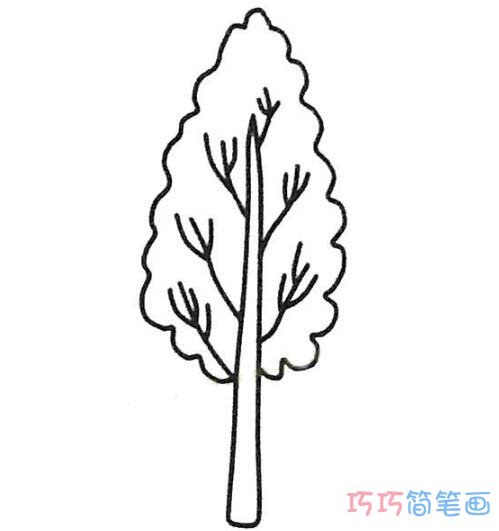 怎么画一棵白杨树简笔画步骤图简单
