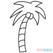 椰子树简笔画大全椰子树的画法步骤图