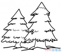 两棵松树的画法步骤 简单松树简笔画图片