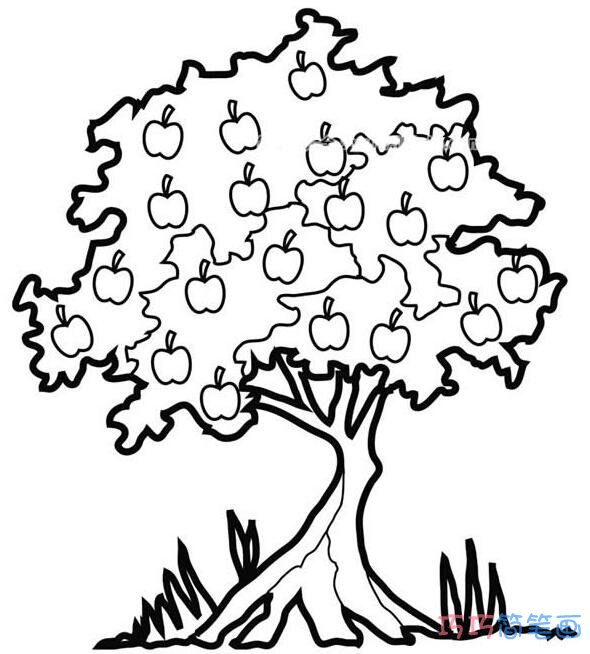 儿童苹果树的画法简单苹果树简笔画图片