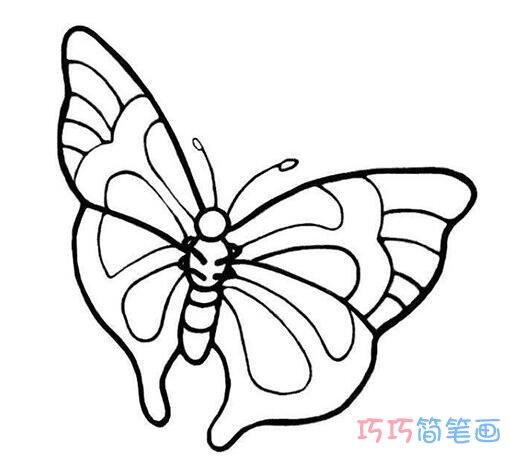  怎样画花蝴蝶手绘简笔画教程漂亮