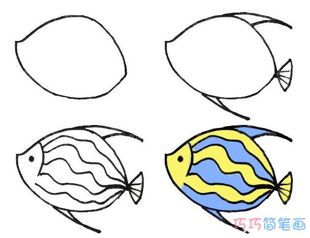 怎样画条纹鱼简笔画步骤图带颜色