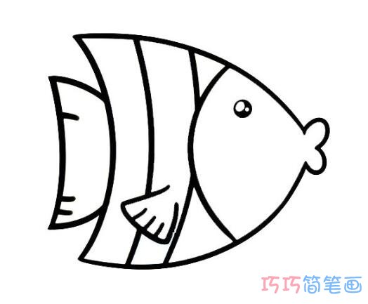 怎样画热带鱼简笔画带步骤图彩色