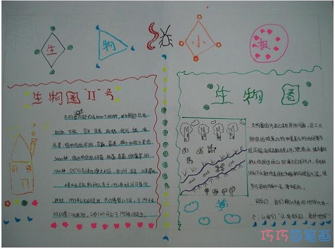 关于生物知识圈手抄报模板简单好看