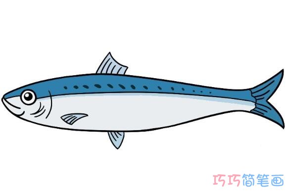 怎么画沙丁鱼的画法简笔画教程带颜色