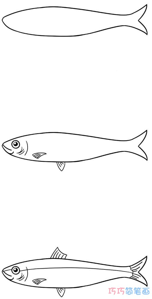 怎么画沙丁鱼的画法简笔画教程带颜色