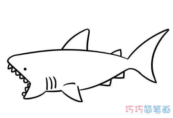 幼儿简笔画鲨鱼怎么画简单易学