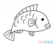 儿童简笔画鲤鱼的画法教程简单易学
