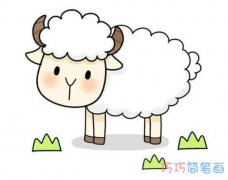 可爱小绵羊的画法简笔画图片大全