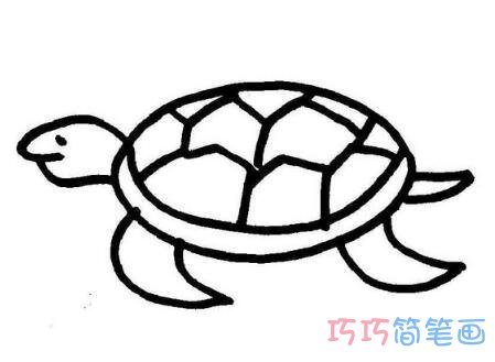 可爱小乌龟的画法简笔画图片大全