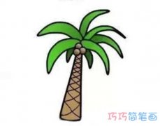 简笔画椰子树怎么画带步骤图涂色
