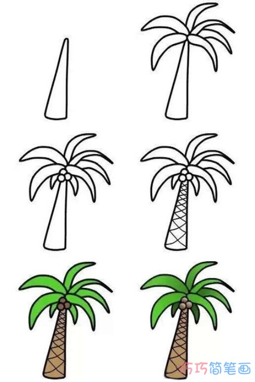 简笔画椰子树怎么画带步骤图涂色