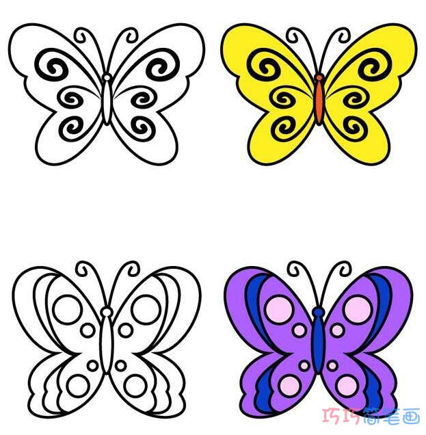 彩色花蝴蝶的画法步骤图 怎么画蝴蝶简笔画