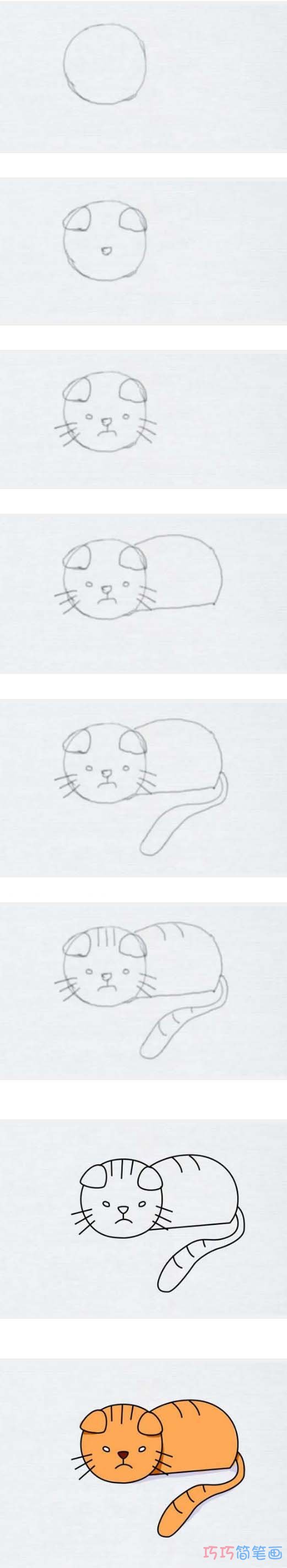 小猫简笔画步骤图带颜色 小猫咪简笔画图片