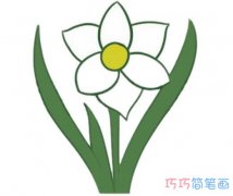 水仙花的画法步骤图带颜色 水仙花简笔画图片