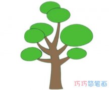 卡通松树的画法步骤图带颜色 松树简笔画图片