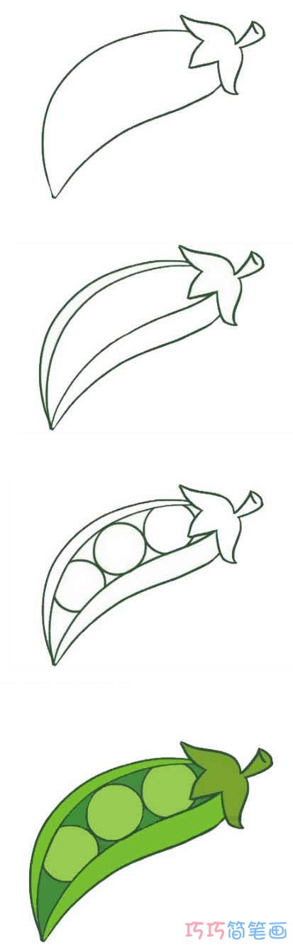 豌豆的画法步骤图带颜色 豌豆简笔画图片