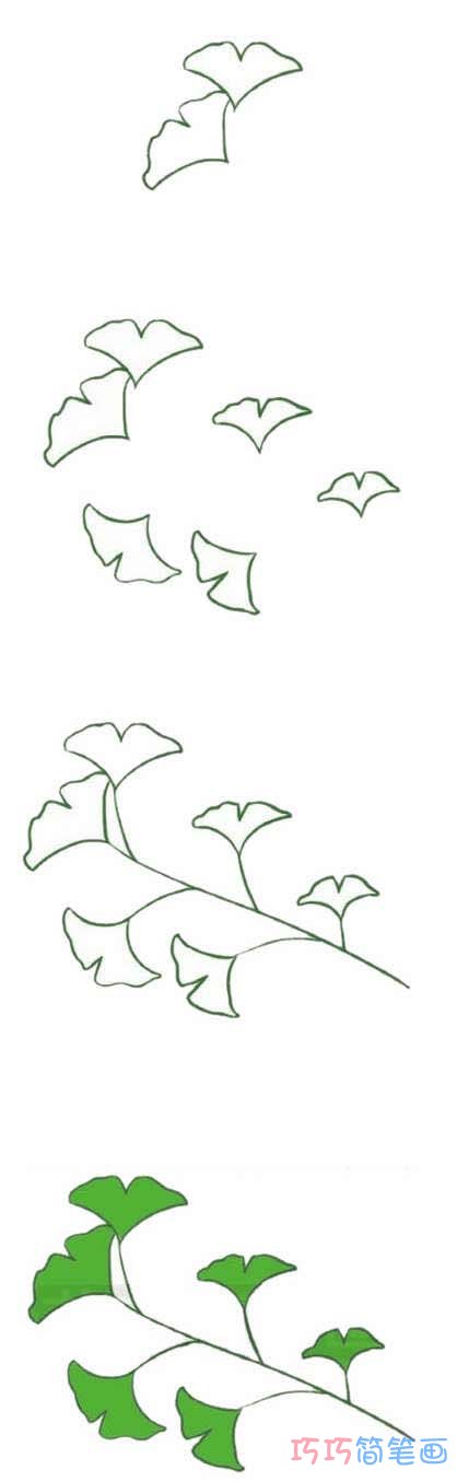  银杏树叶的画法步骤图带颜色 银杏树枝简笔画图片