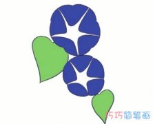 紫色牵牛花怎么画涂颜色 牵牛花简笔画图片