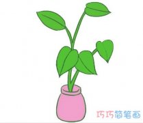 绿萝植物的画法步骤图带颜色 绿萝简笔画图片