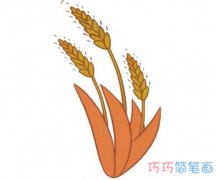 麦穗的画法步骤图带颜色 麦穗简笔画图片