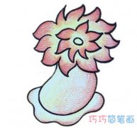 海葵的画法步骤图带颜色 海葵简笔画图片