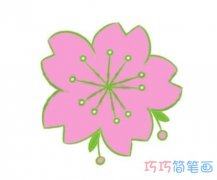 彩色樱花简笔画图片 漂亮樱花的画法步骤图