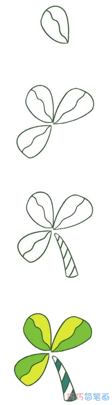 三叶草的画法步骤图带颜色 三叶草简笔画图片