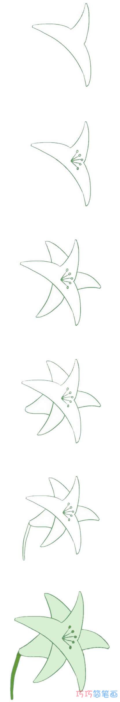 百合花的画法步骤图带颜色 百合花简笔画图片