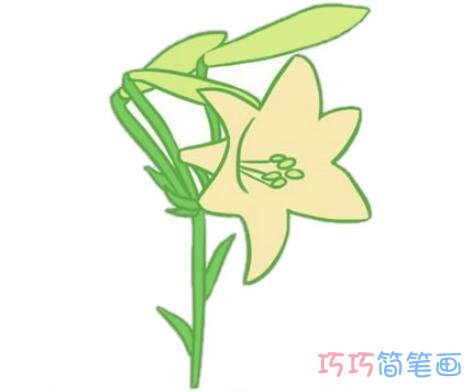 简单漂亮百合花怎么画涂颜色 百合花简笔画图片