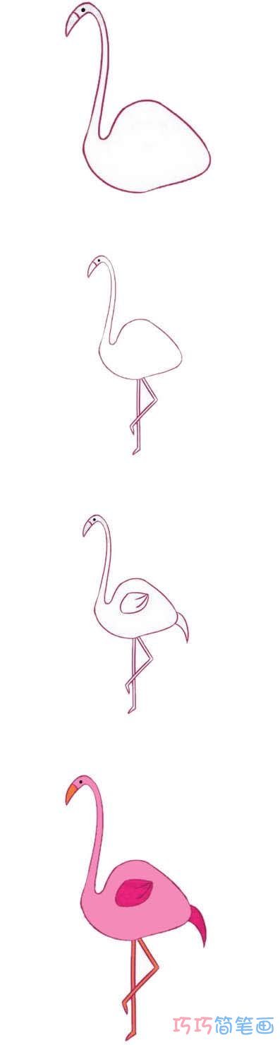 火烈鸟的画法步骤图带颜色 火烈鸟简笔画图片