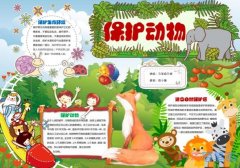 小学生关于保护动物保护蓝鲸手抄报图片简单好看