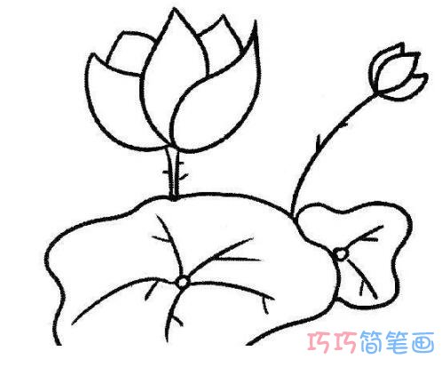 怎样画荷花简笔画图片简单漂亮