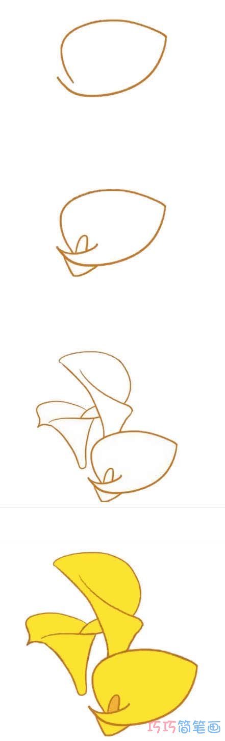 马蹄莲的画法步骤图带颜色 马蹄莲简笔画图片