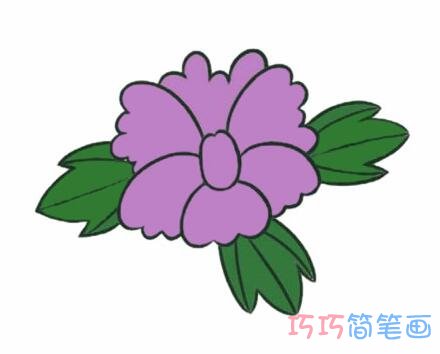 牡丹花的画法步骤图带颜色好看 牡丹花简笔画图片