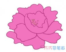 彩色牡丹花简笔画怎么画简单又漂亮