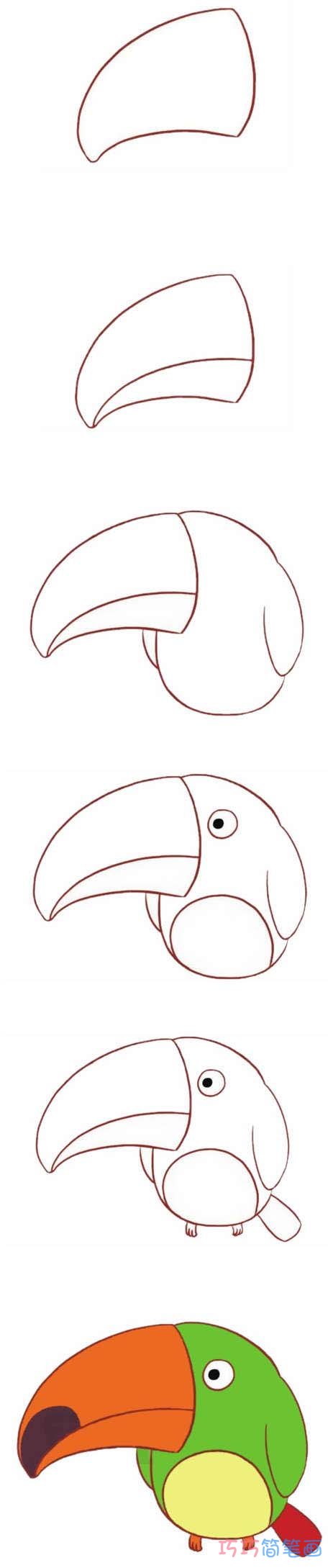 儿童画鹦鹉怎么画涂颜色 简笔画鹦鹉的画法教程