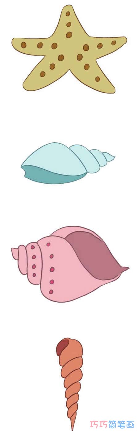 儿童海螺贝壳怎么画涂颜色 海螺贝壳简笔画图片