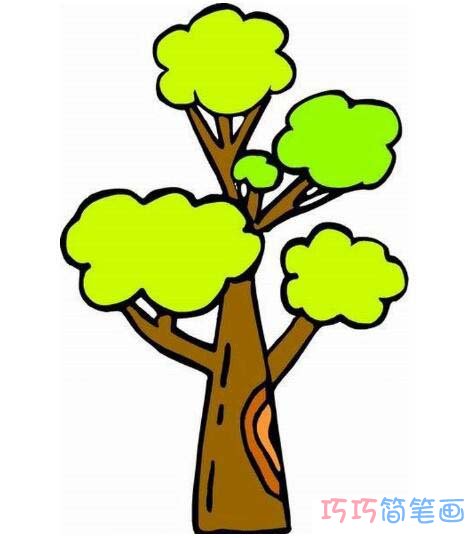  彩色大树怎么画好看 简单大树的画法教程