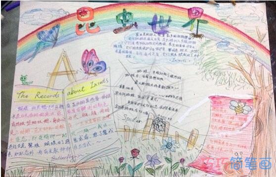 小学生昆虫记昆虫世界手抄报怎么画简单好看