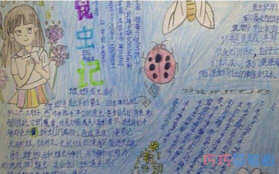 小学生昆虫记昆虫手抄报怎么画简单好看漂亮