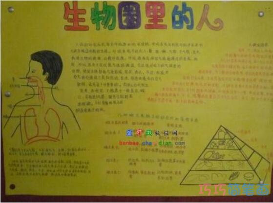 小学生生物世界生物圈手抄报怎么画简单漂亮